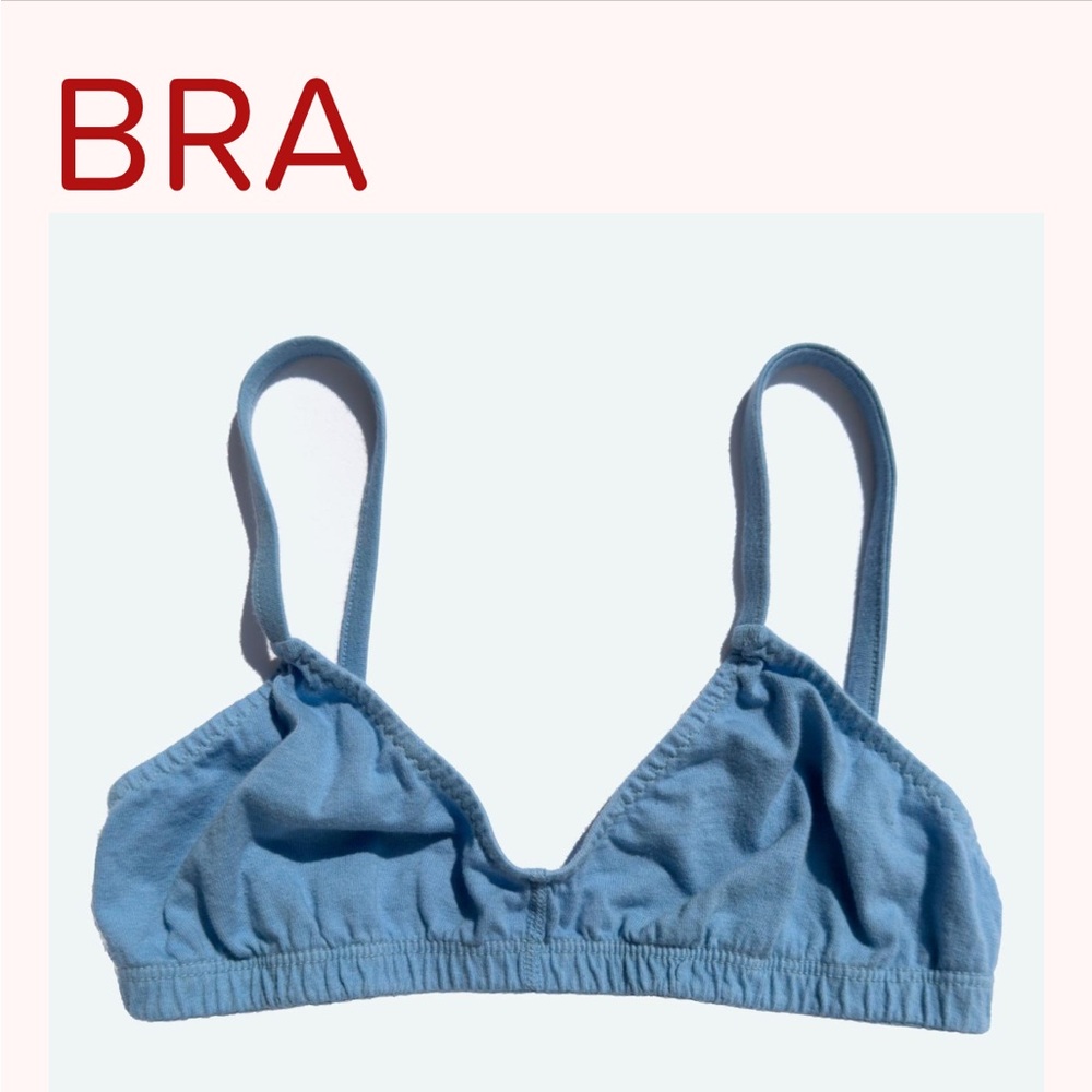 Pansy Co size small blue bra